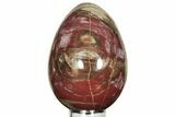 Colorful, Polished Petrified Wood Egg - Madagascar #211141-1